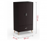 Tủ quần áo 2 cánh 1 ngăn gỗ công nghiệp MDF chống ẩm - CWDL0060
