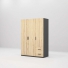 Tủ quần áo gỗ công nghiệp MDF chống ẩm TU010 - 1m2
